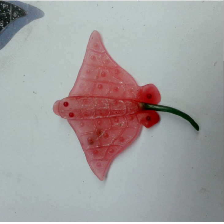 Gümüş Eagle Ray Kolye  Deri Kordonlu